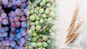 Agrifood cover